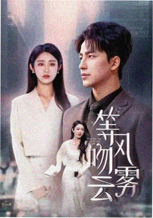 我的阿勒泰电视剧海报
